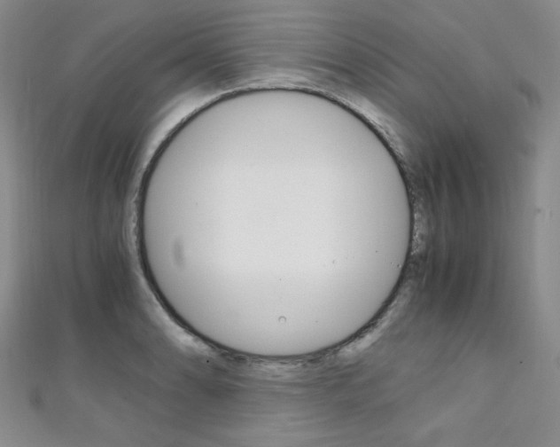 X0000111151086200906301032