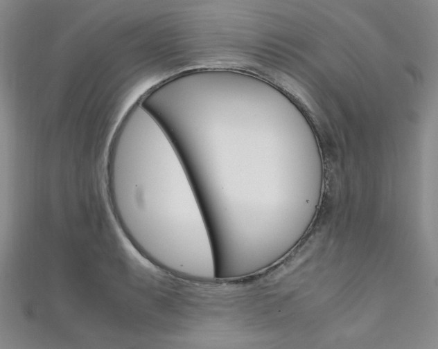X0000111151087200906301032
