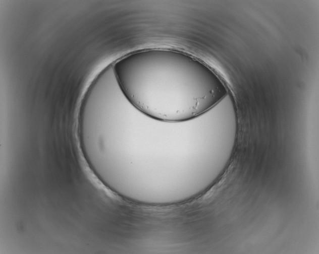 X0000111151088200906301032
