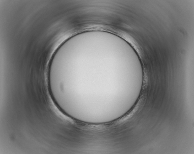 X0000111151090200906301032
