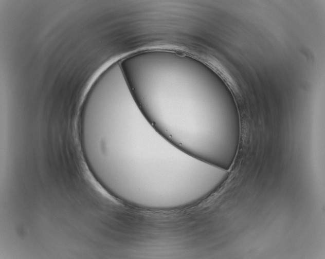 X0000111151092200906301032