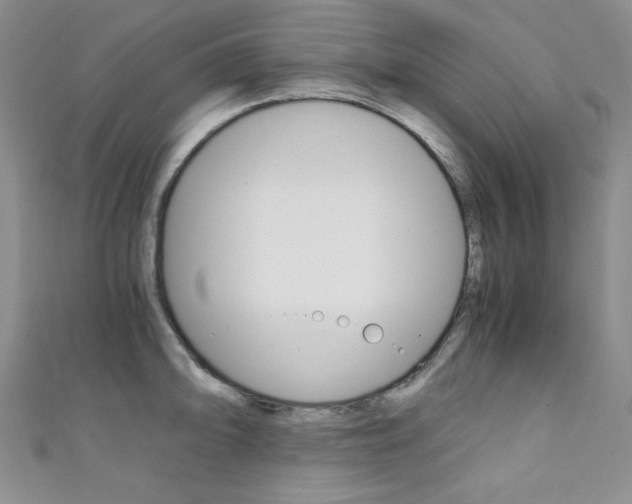 X0000111151094200906301032