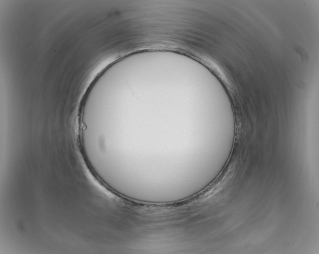 X0000111151095200906301032