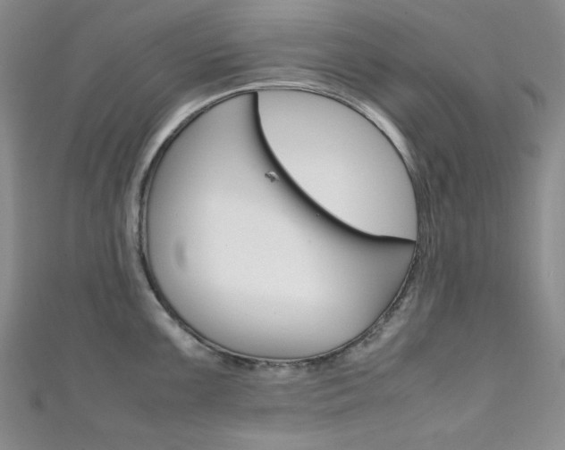 X0000111151099200906301032