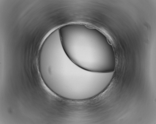 X0000111151100200906301032