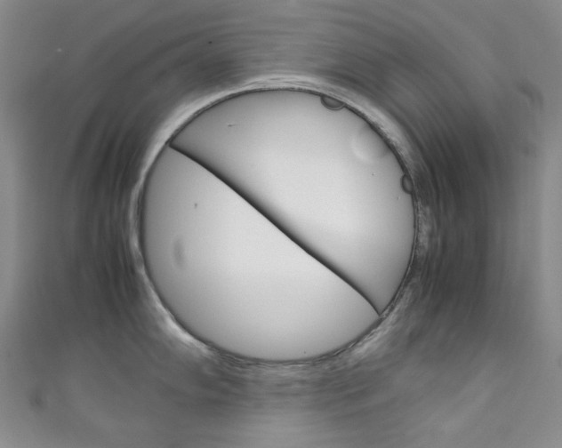 X0000111151102200906301032