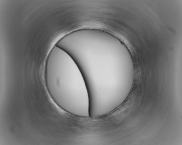 X0000111151103200906301032