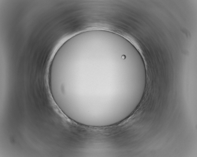 X0000111151104200906301032