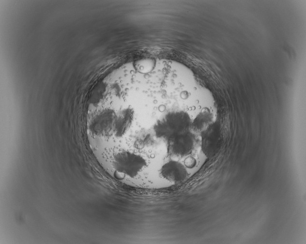 X0000111151105200906301032