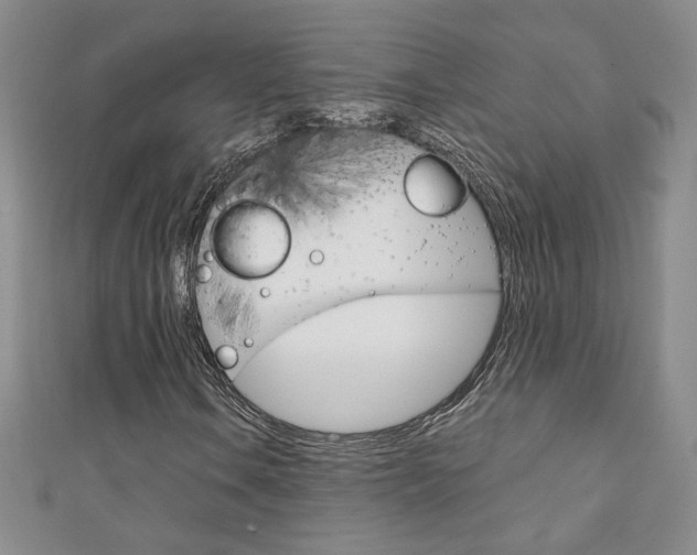 X0000111151106200906301032