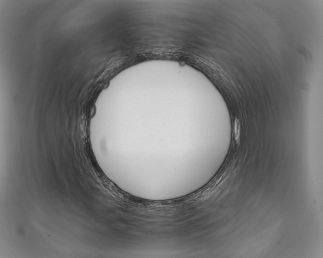 X0000111151107200906301032