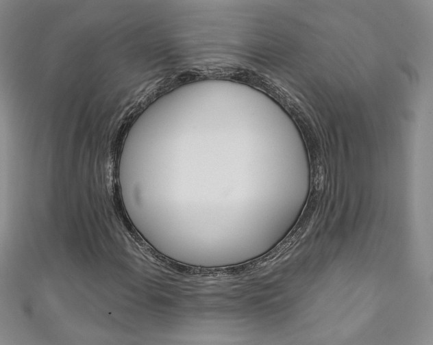 X0000111151108200906301032