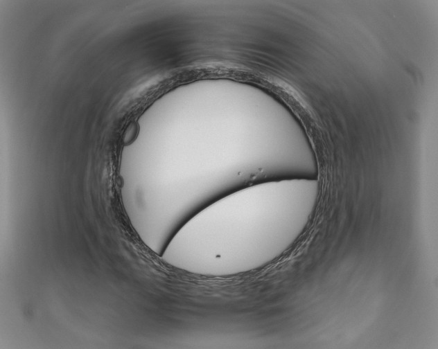 X0000111151111200906301032