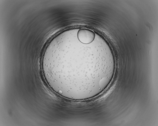 X0000111151113200906301032