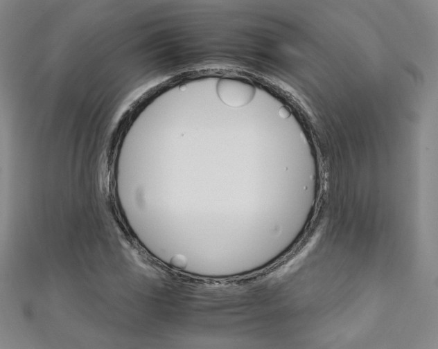 X0000111151117200906301032