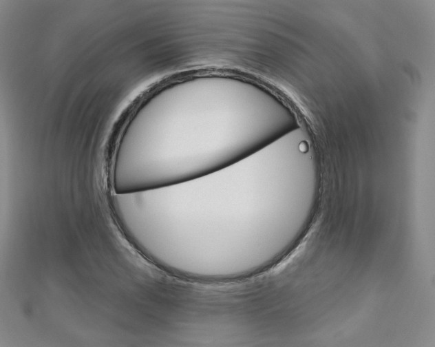 X0000111151118200906301032