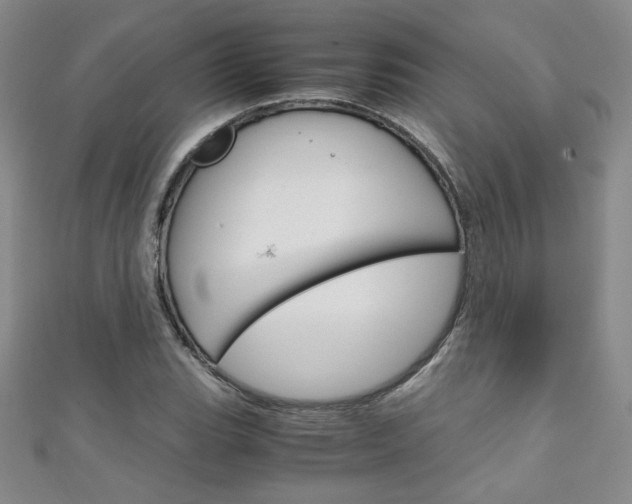 X0000111151119200906301032