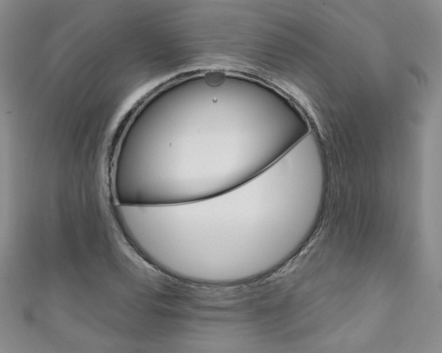X0000111151120200906301032