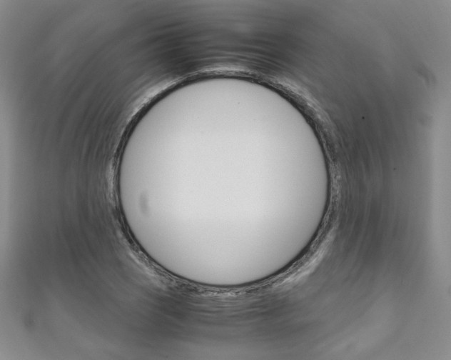X0000111151121200906301032
