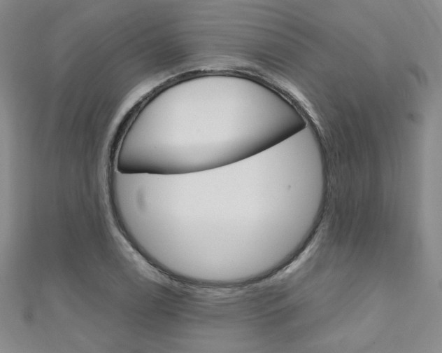 X0000111151122200906301032