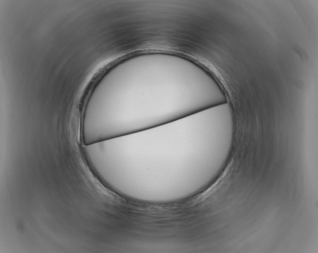 X0000111151123200906301032