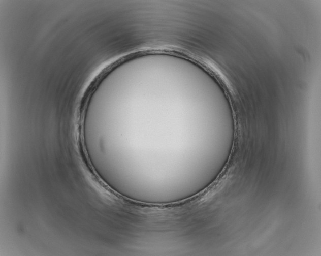 X0000111151124200906301032