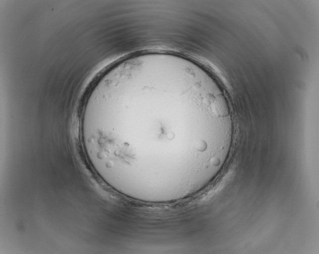 X0000111151125200906301032