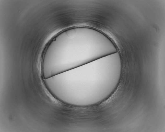 X0000111151127200906301032