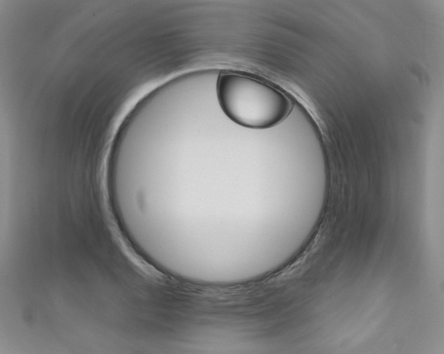 X0000111151128200906301032