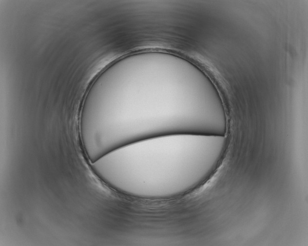 X0000111151129200906301032