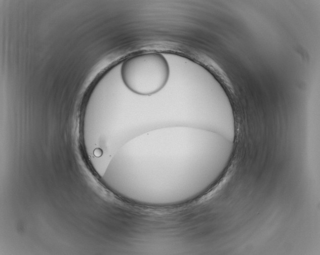 X0000111151130200906301032