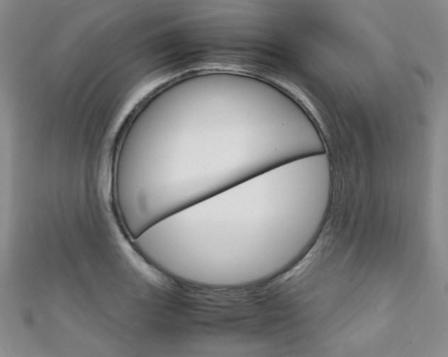 X0000111151131200906301032