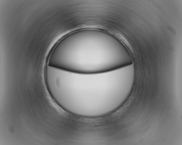 X0000111151132200906301032