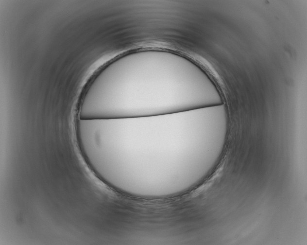 X0000111151133200906301032