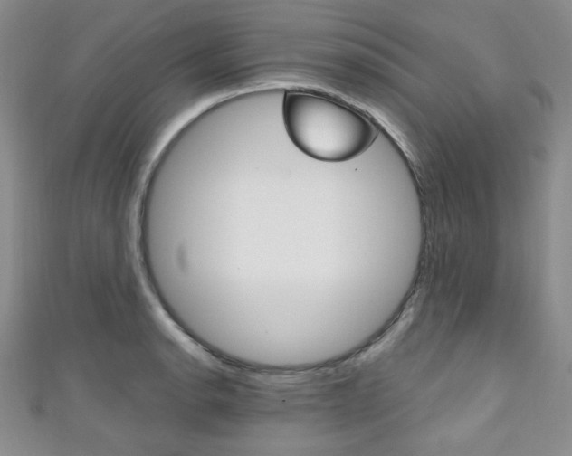 X0000111151134200906301032