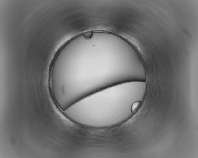 X0000111151135200906301032