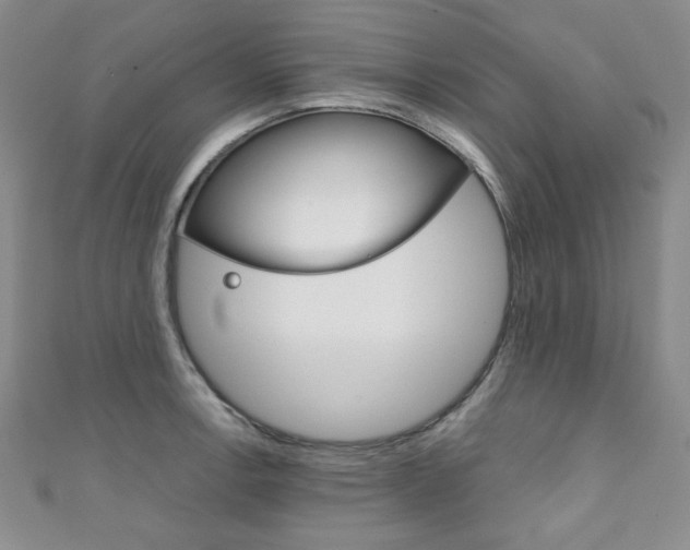 X0000111151138200906301032