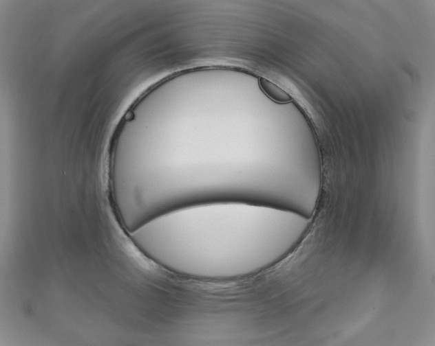 X0000111151140200906301032