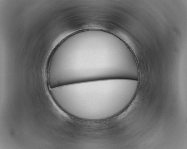 X0000111151141200906301032