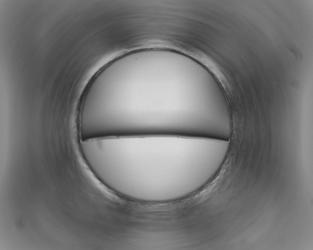 X0000111151142200906301032