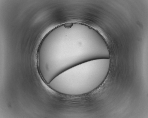 X0000111151143200906301032