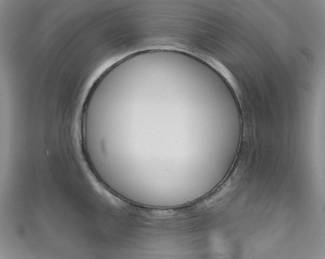 X0000111151144200906301032