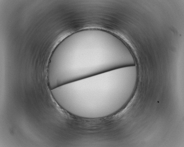 X0000111151145200906301032