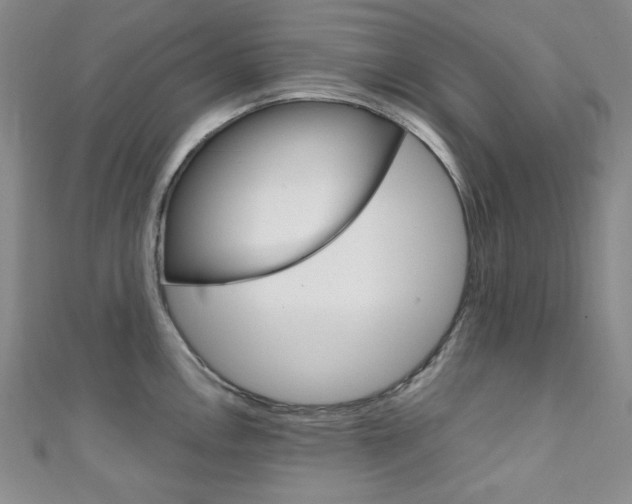 X0000111151146200906301032