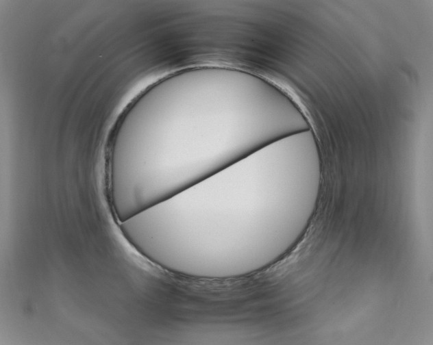 X0000111151147200906301032
