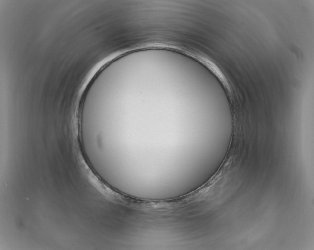 X0000111151148200906301032