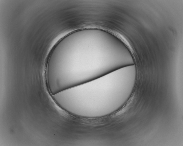X0000111151149200906301032