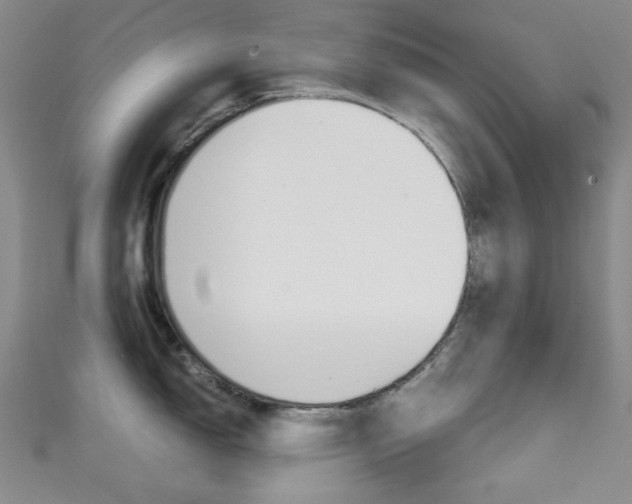 X0000111151150200906301032