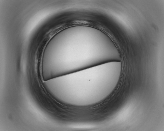 X0000111151151200906301032