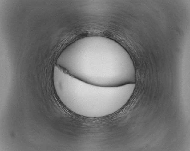 X0000111151153200906301031